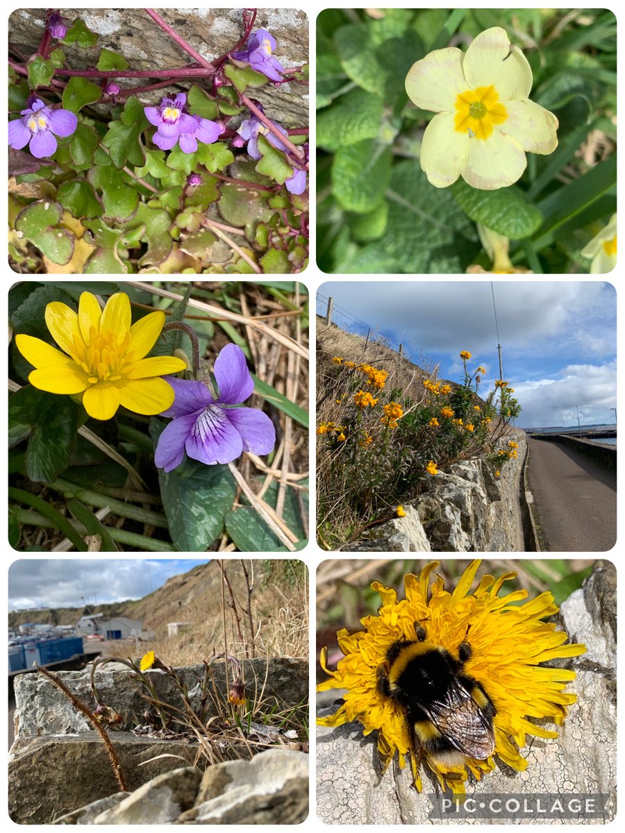 Lesley Totten tweet media