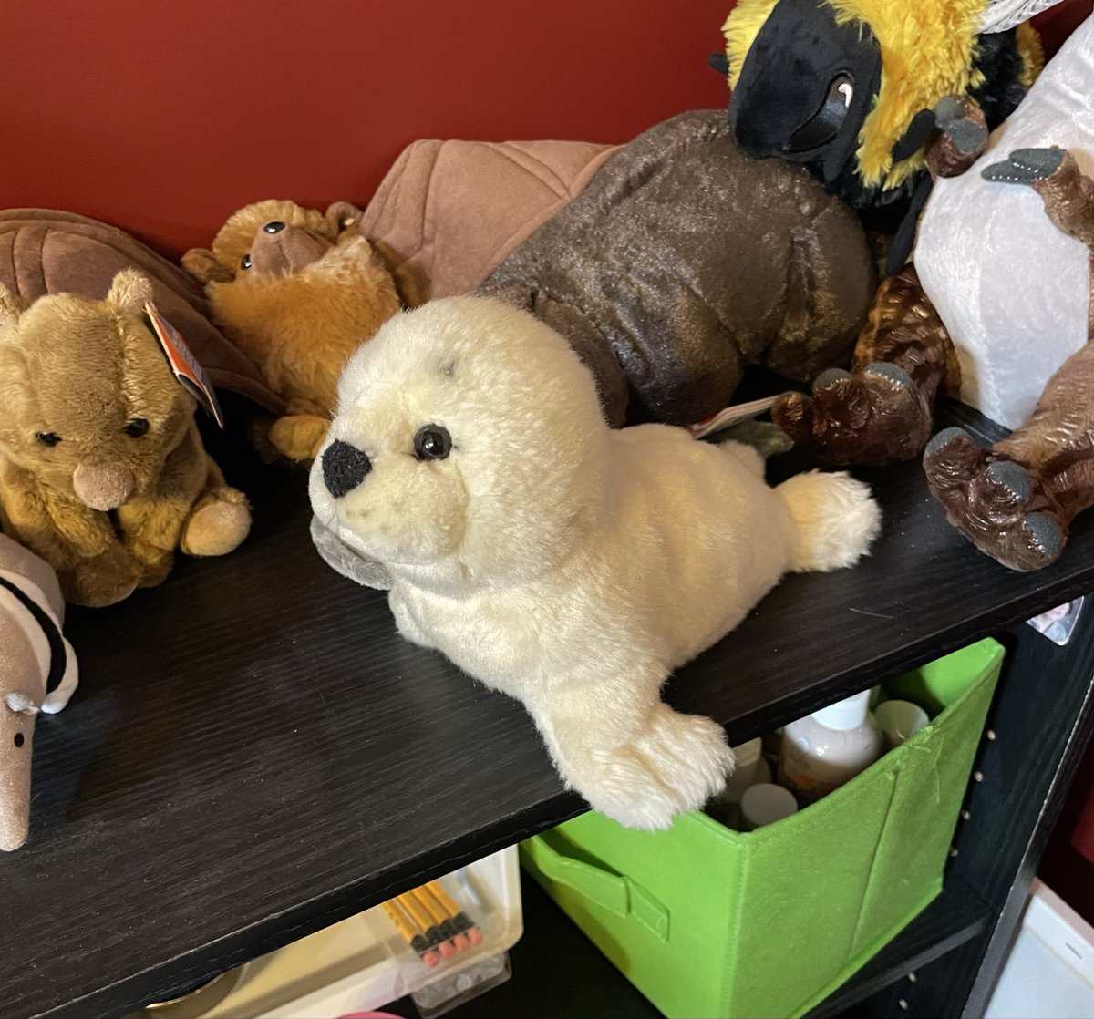 bpd hannibal truther tweet media