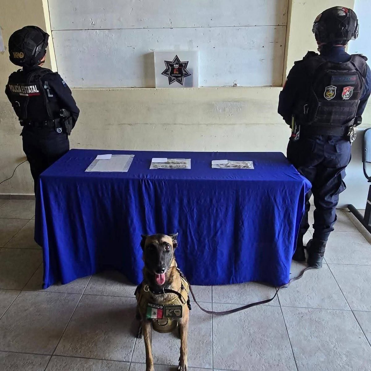 MBS Noticias tweet media