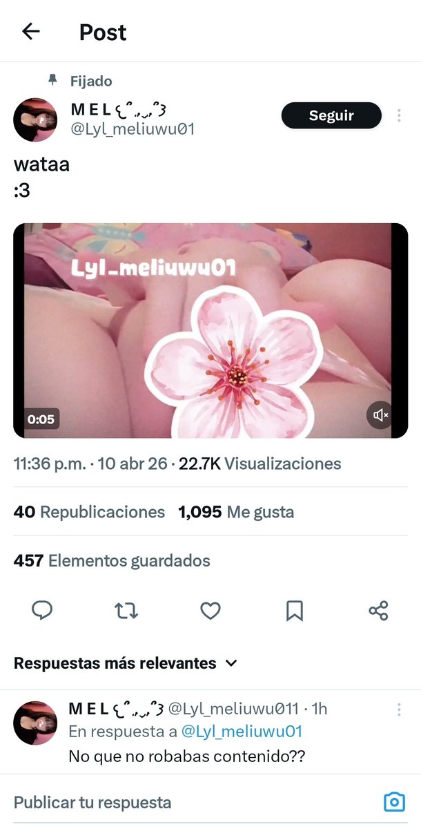 Meluwu tweet media