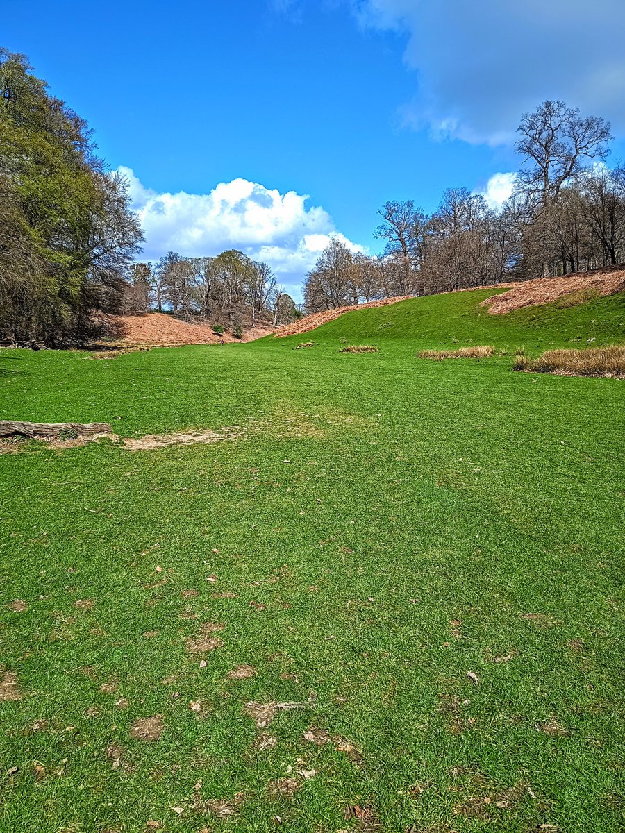 Chemfund's tweet image. Peaceful knole parklands #color #phonephoto #NatureBeautiful #wellness