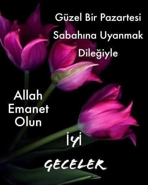 ZeynepNaz🦋 tweet media