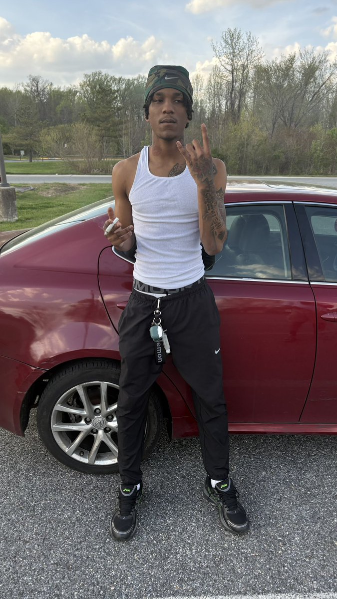 Neph🦂 tweet media