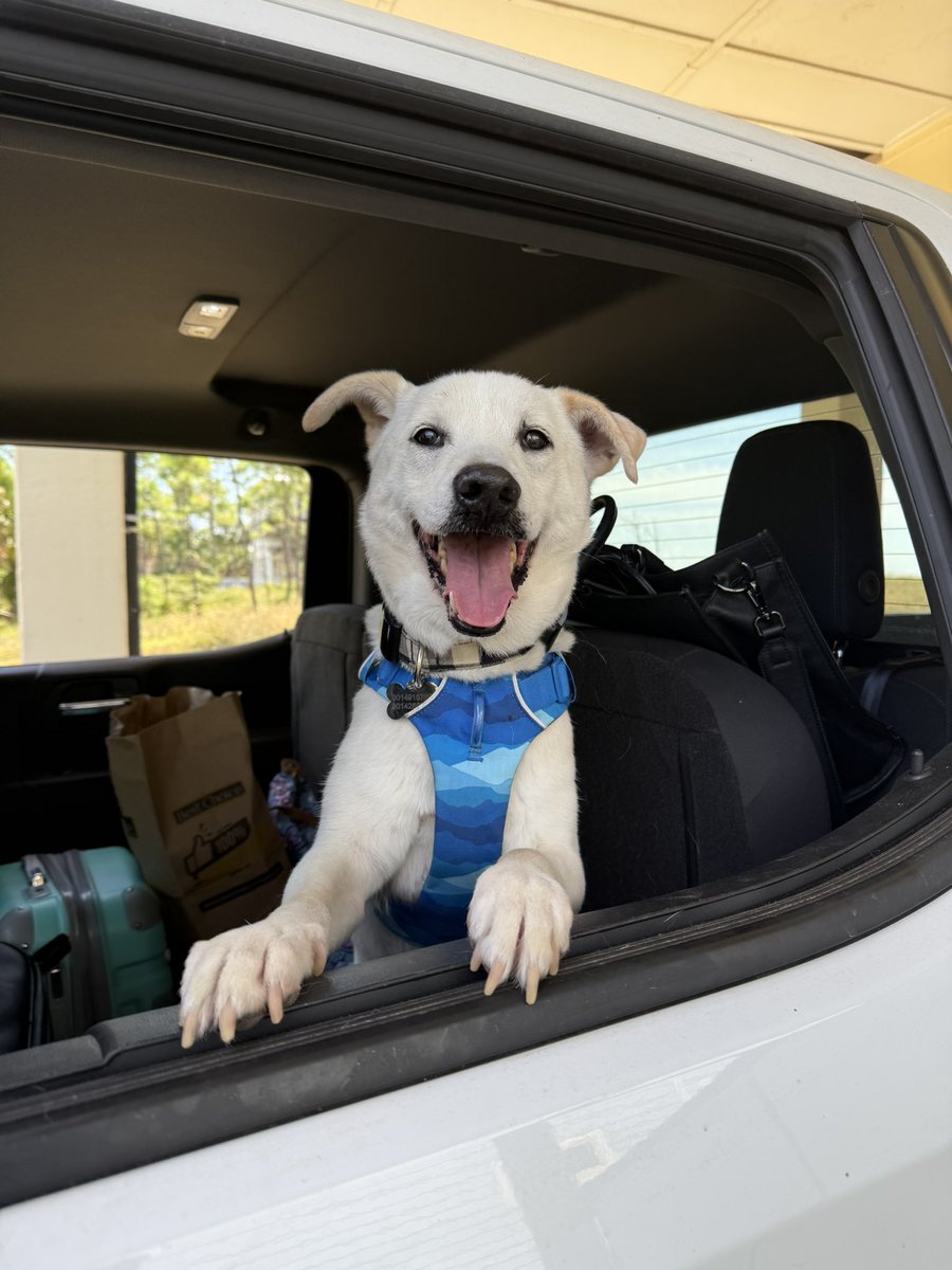 Grizzmama tweet media