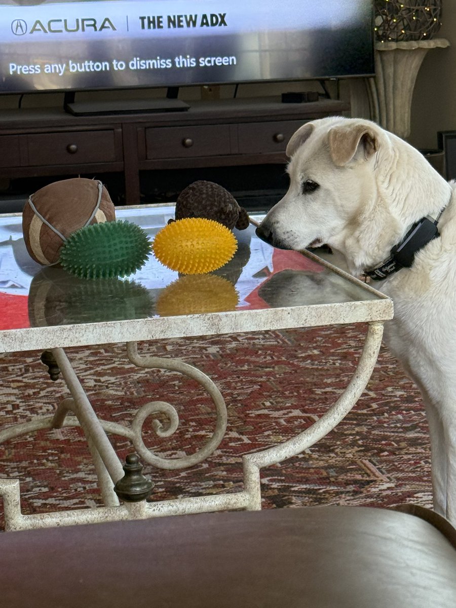 Grizzmama tweet media