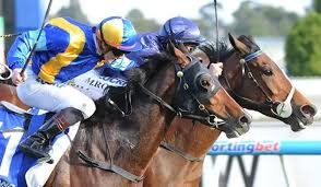 ppilFƎd 🏇 🇦🇺 🇳🇿 tweet media