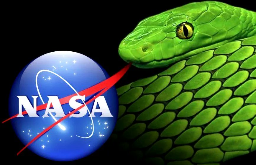 Truth Refugee tweet media