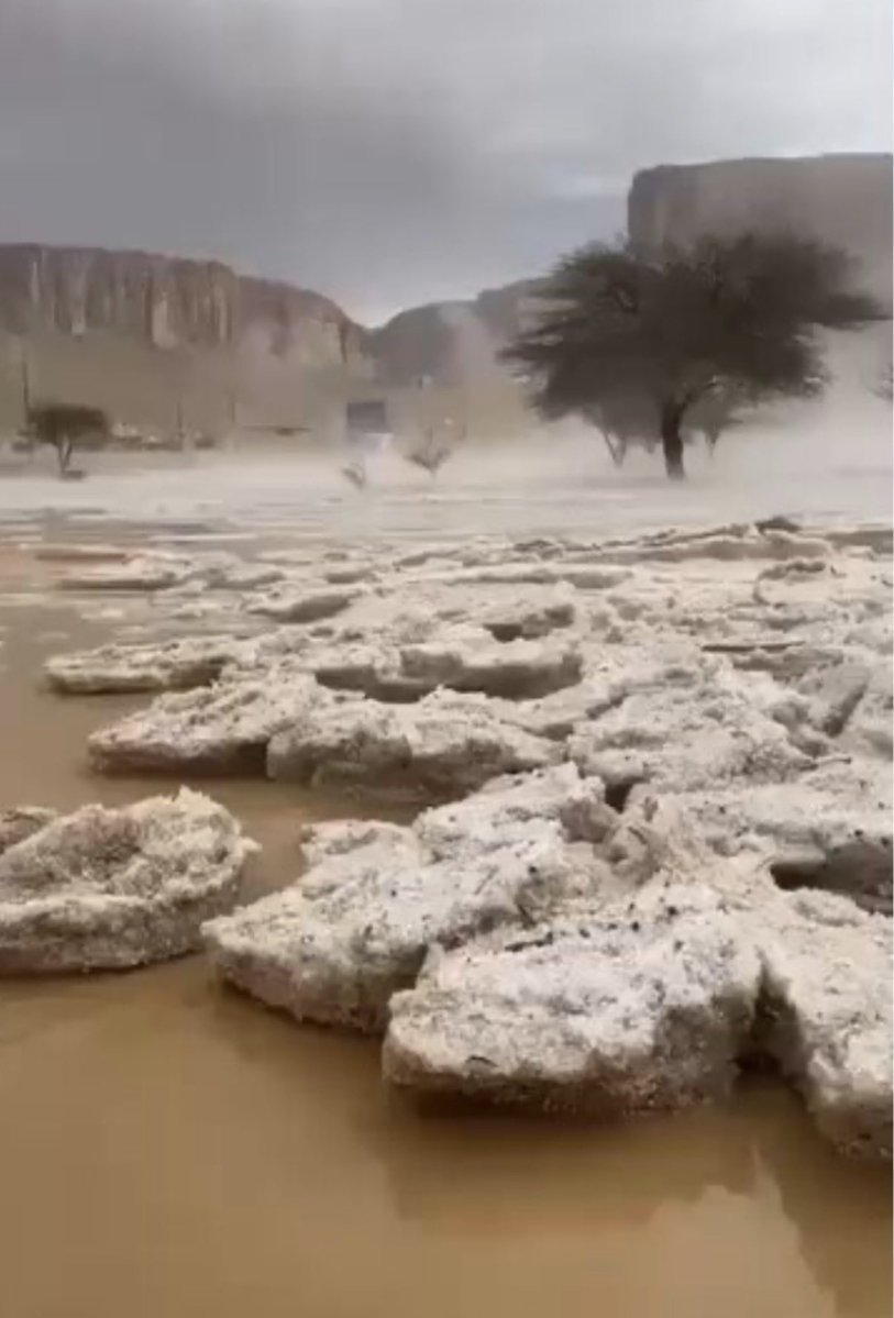 وليد سليمان الحقيل tweet media