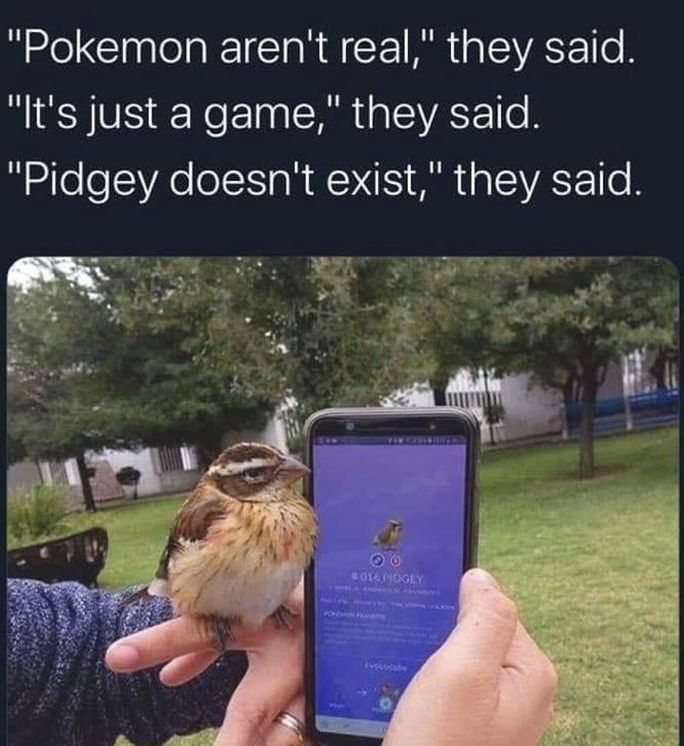 Pokémon Posts tweet media