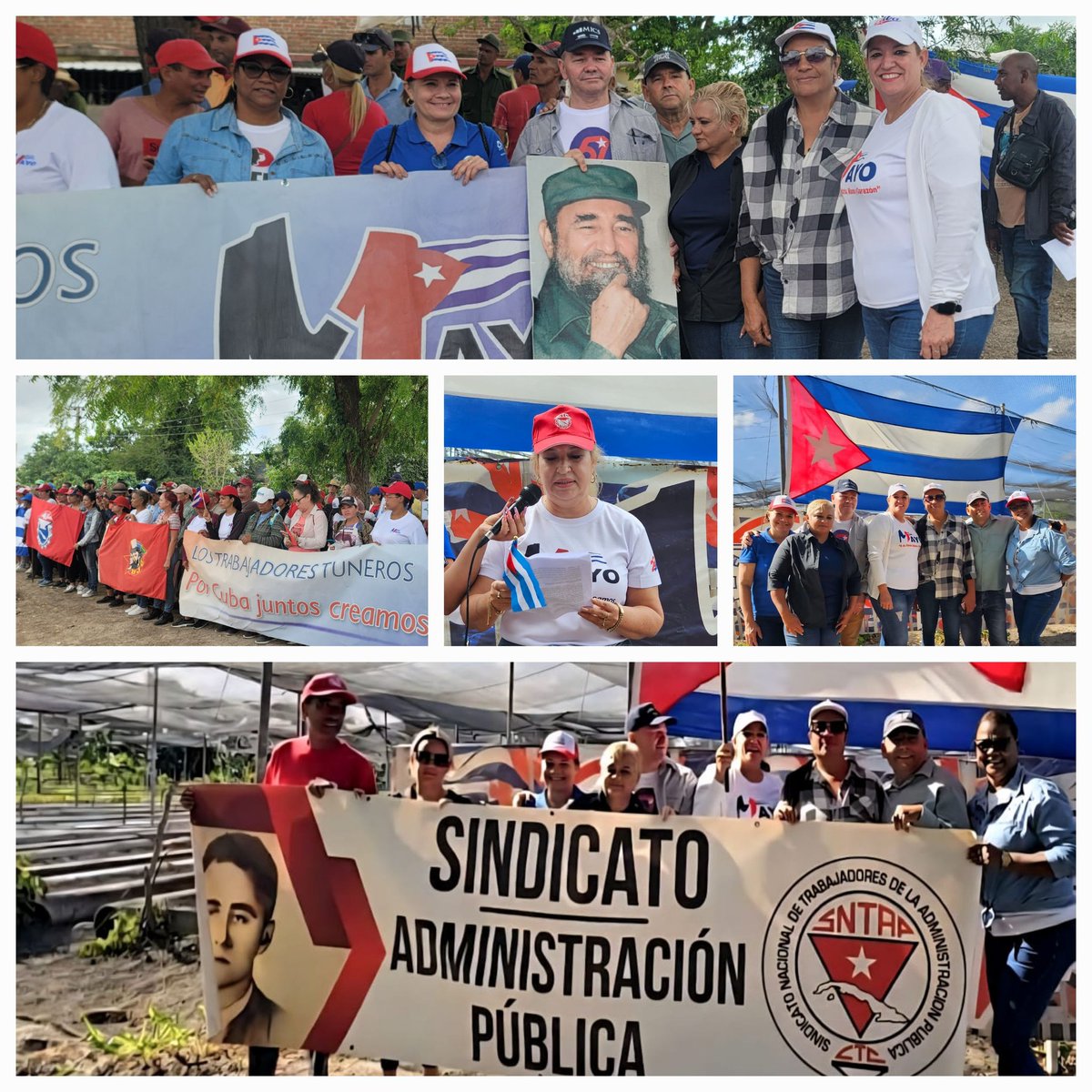 Yelenys Tornet Menéndez tweet media