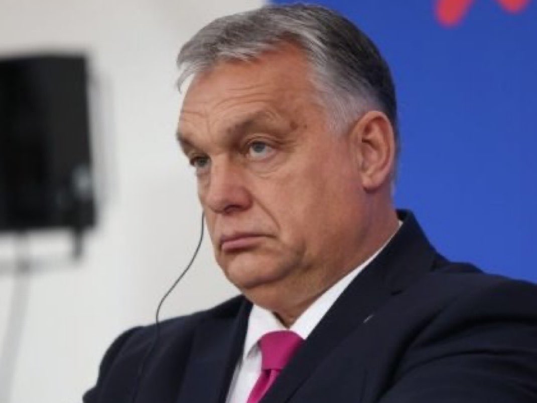 Anjo da Retaliação tweet media