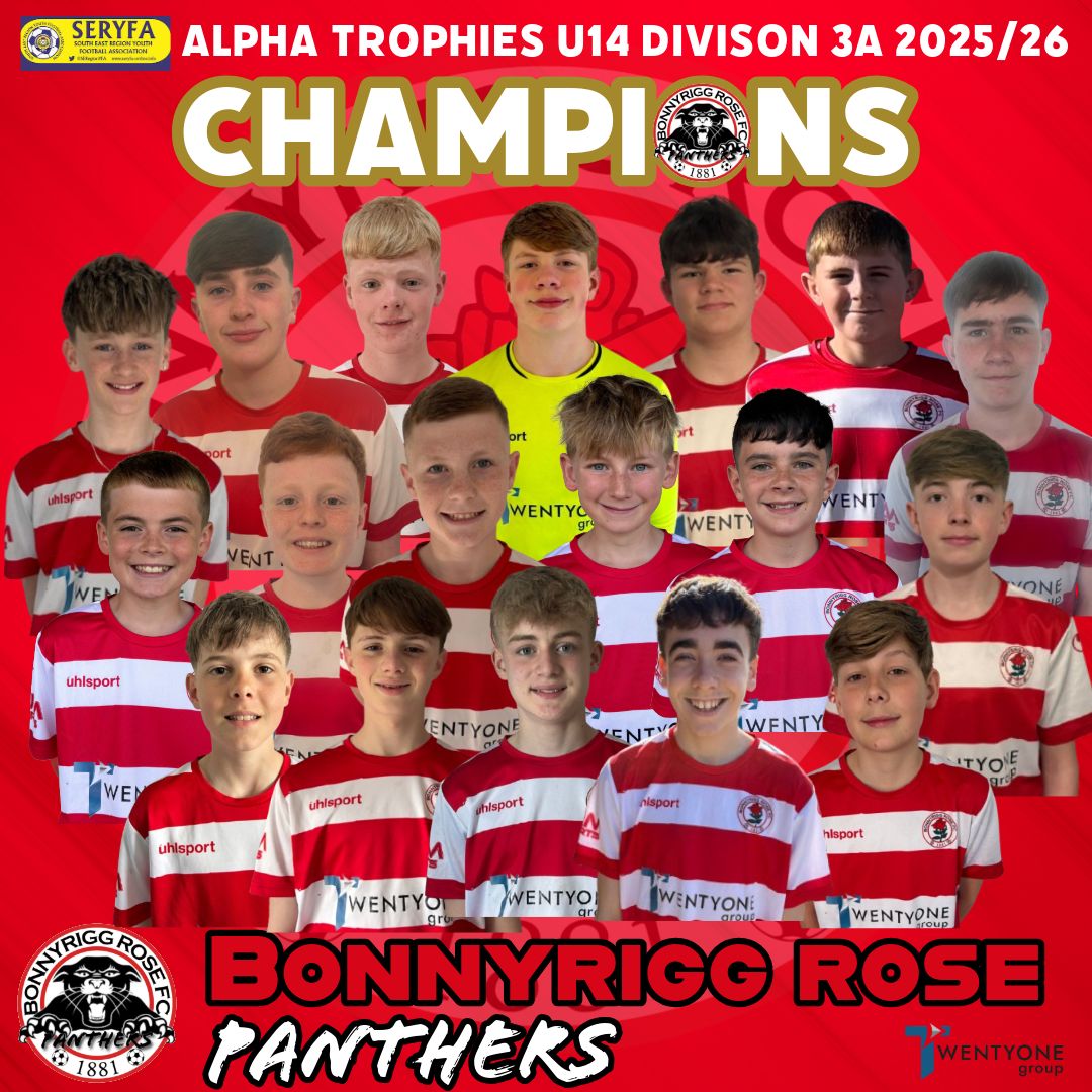 League titles don't come along every day. Enjoy it - well done boys 🌹🌹🌹