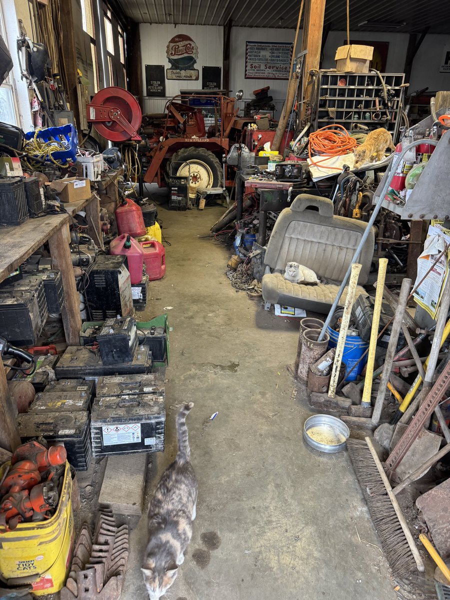 Gavin Spoor tweet media