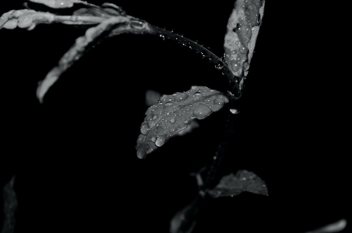 PhotoYamakawa's tweet image. Mark of Darkness #93

Please post your new NFTs

1/1 NFT

OBJKT
objkt.com/tokens/KT1NxrV…

#NFTPhotography
#TezosNFT
#objkt