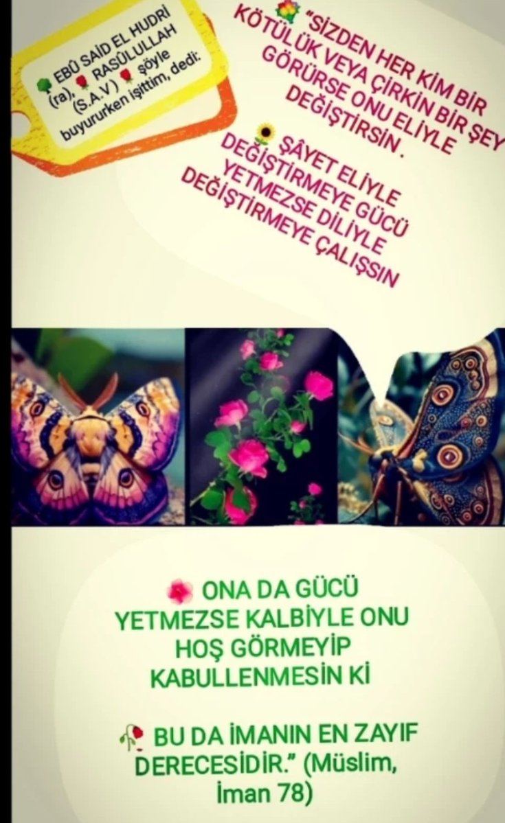 Pınar Astam tweet media