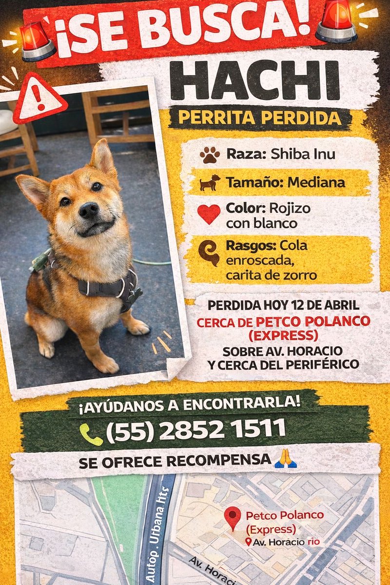 Ana Barreda tweet media