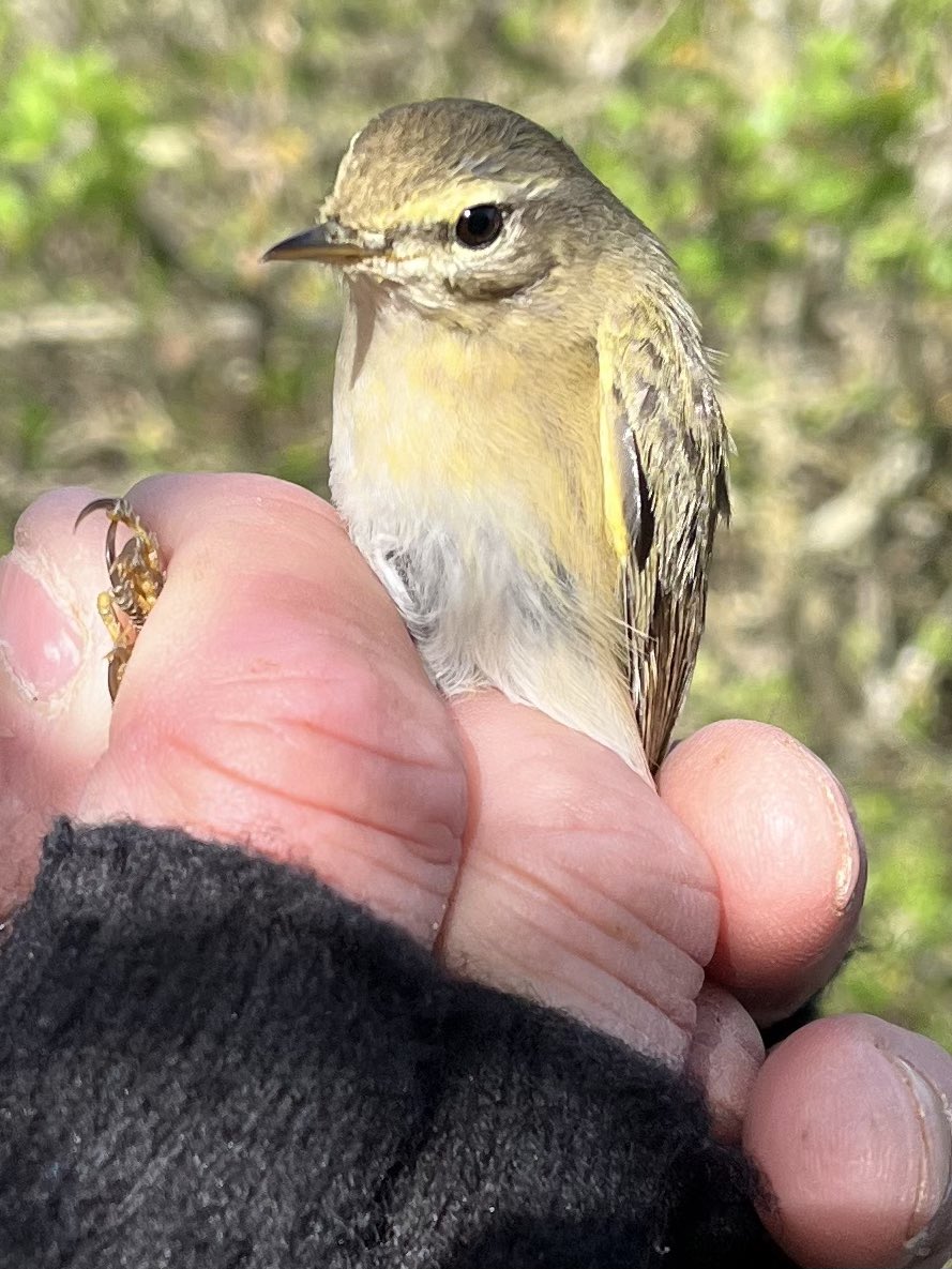 barry woodhouse tweet media