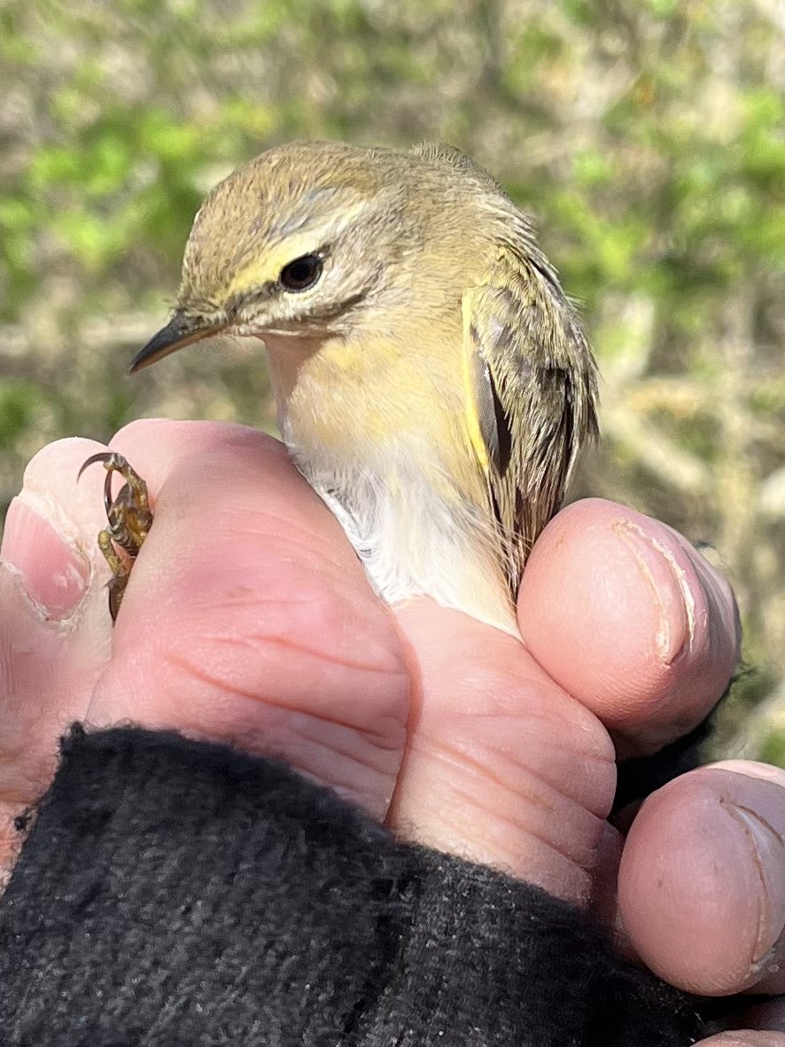 barry woodhouse tweet media