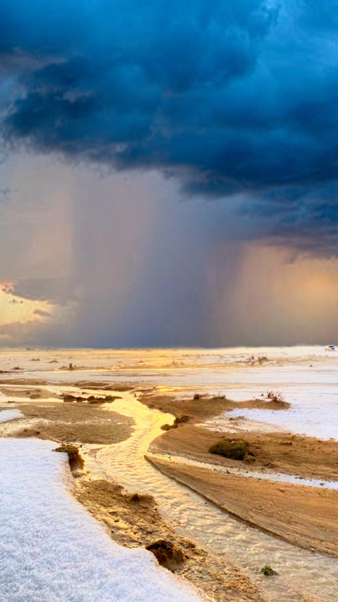 البرق⚡️ tweet media