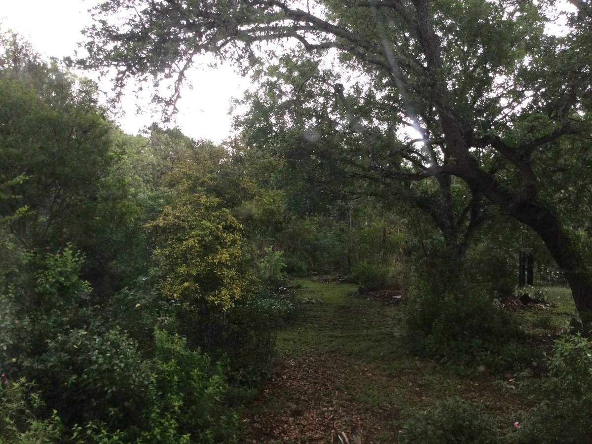 David Baumanm tweet media