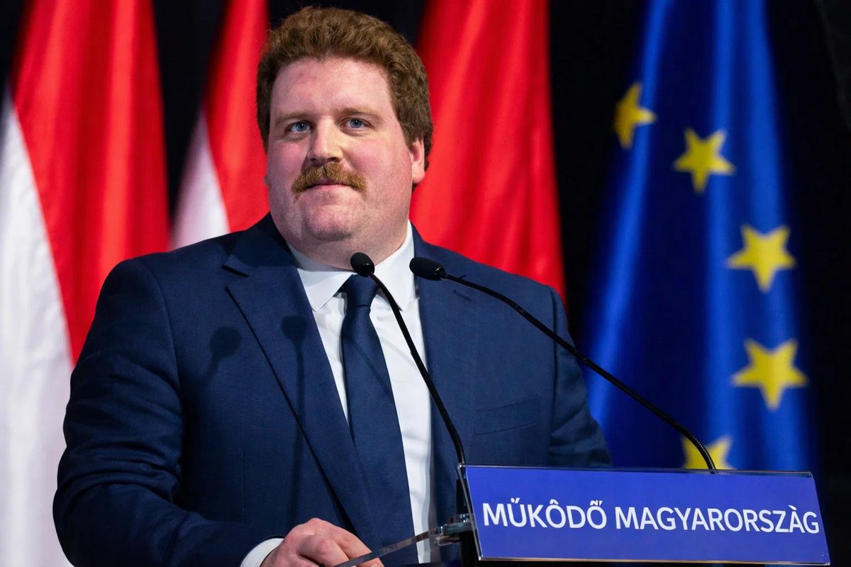 MT aus HB | AG Enbys in der AfD tweet media