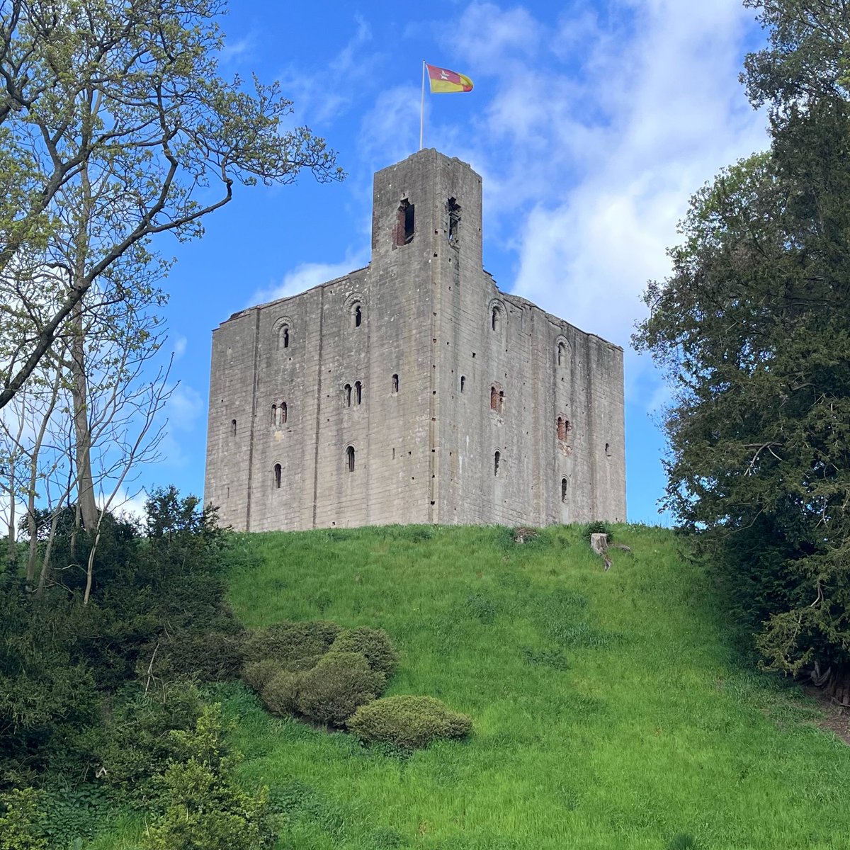 Dr Johanna Strong tweet media