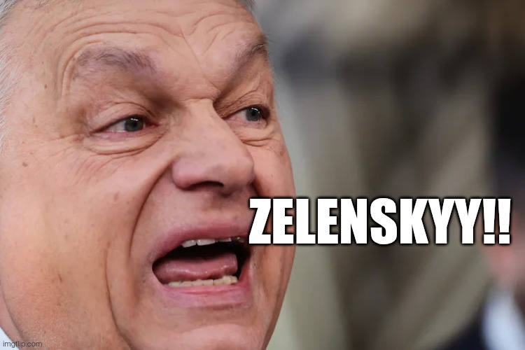 OЗDIPOVICH 🌻🧸🌻 tweet media