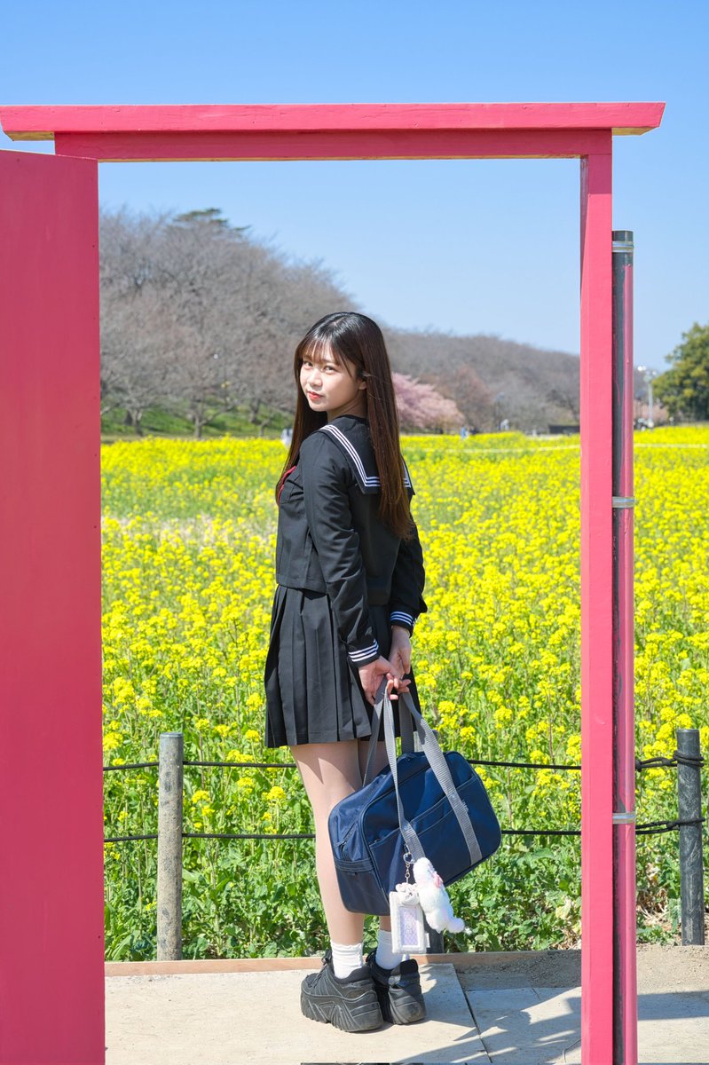 turborider001's tweet photo. どこでもドアと菜の花畑とセーラー服と綺麗なゆいさん🚪❀🌼
 今日は早朝出勤頑張ってきます👍
#花野ゆい  #SOAR撮影会 
@yui_hanano https://t.co/YwcbDv4Us1