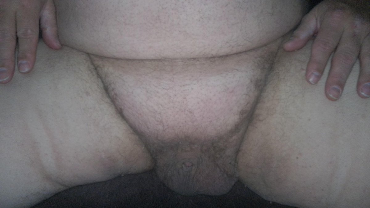 Big Teddy Bear tweet media