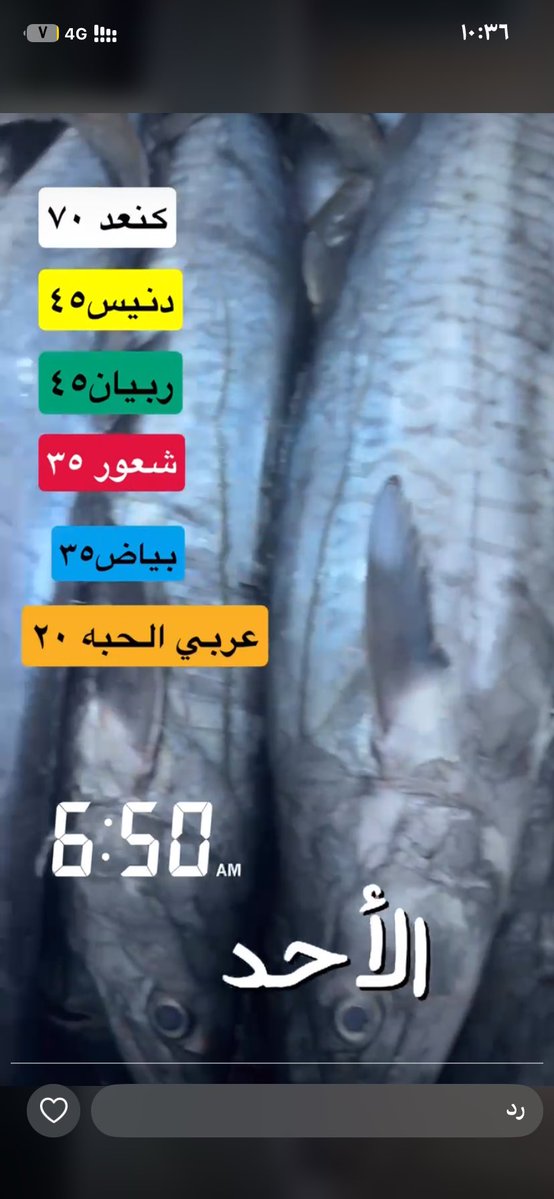 𝓐𝓑𝓞 𝓝𝓜𝓡 🐅 ... tweet media