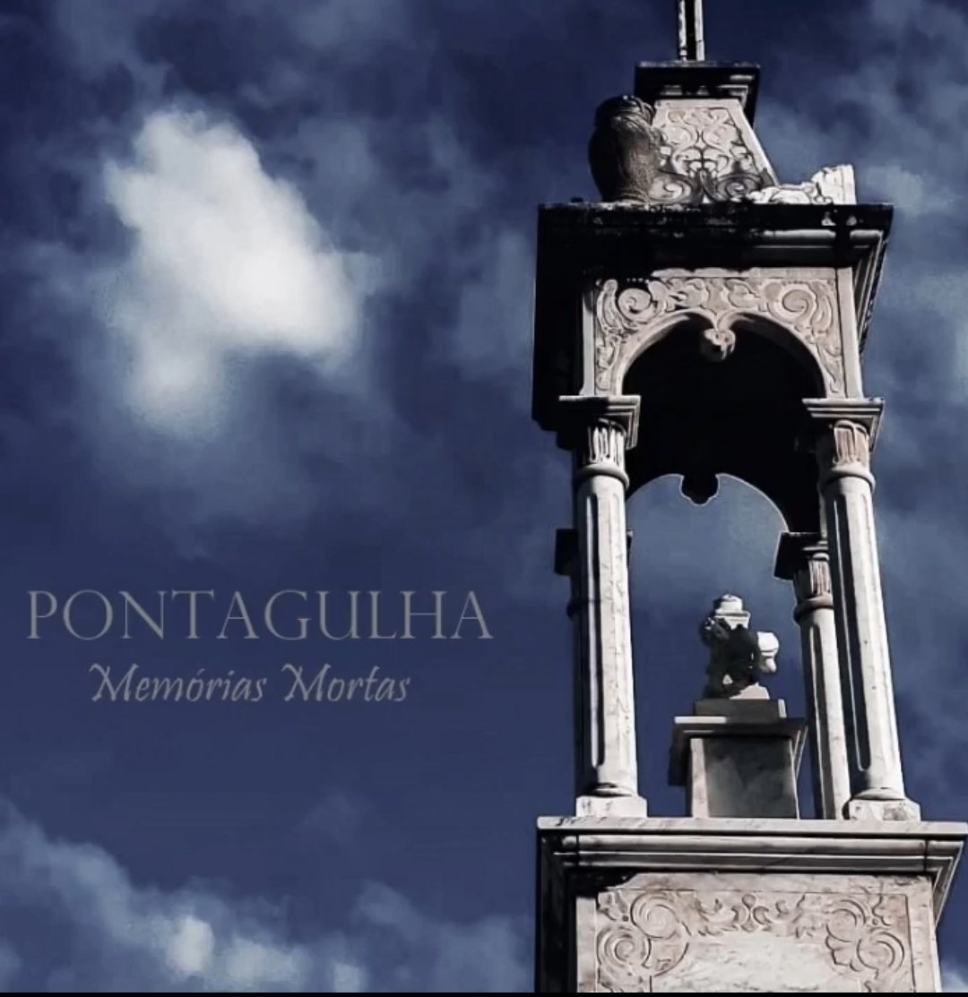 ⋆ naju🇵🇸 tweet media