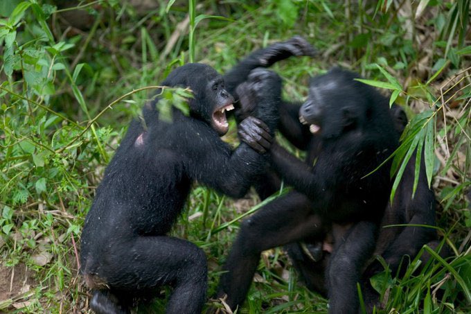 91.8 Boona FM tweet media