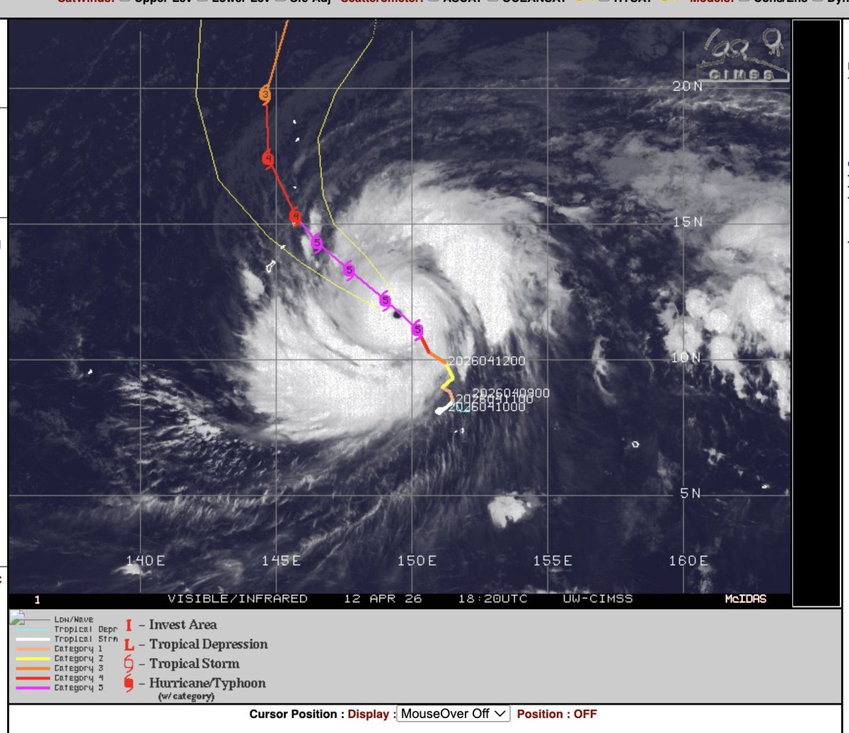 The American Storm tweet media