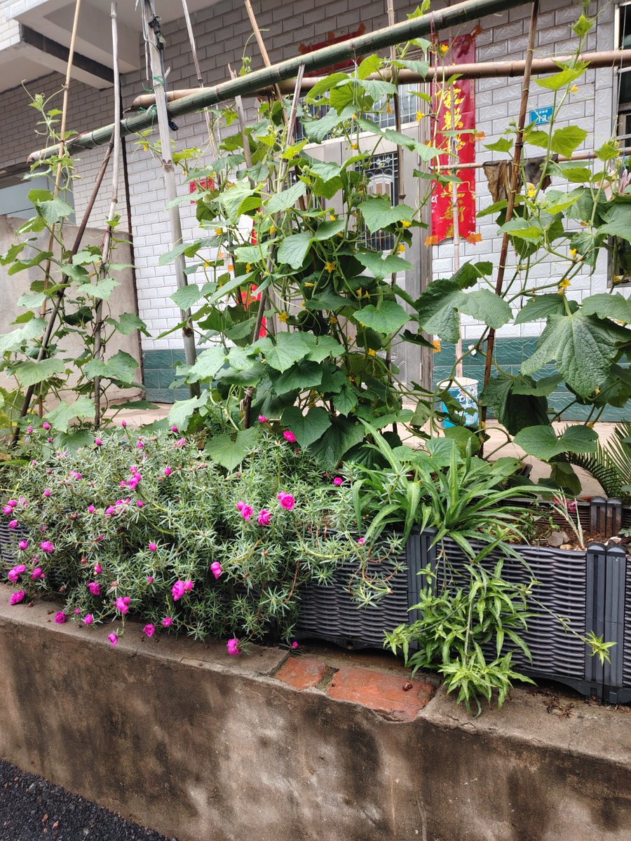 Morgan MacCleary tweet media