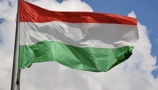 Common Sense 🇺🇸💙 tweet media