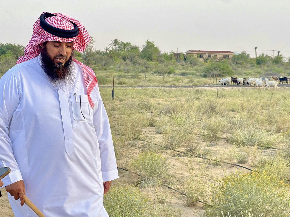 محمد بن عبيد tweet media