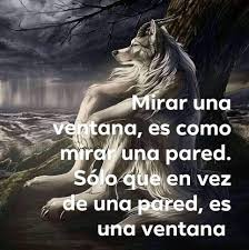 evawtsol 🐇 tweet media