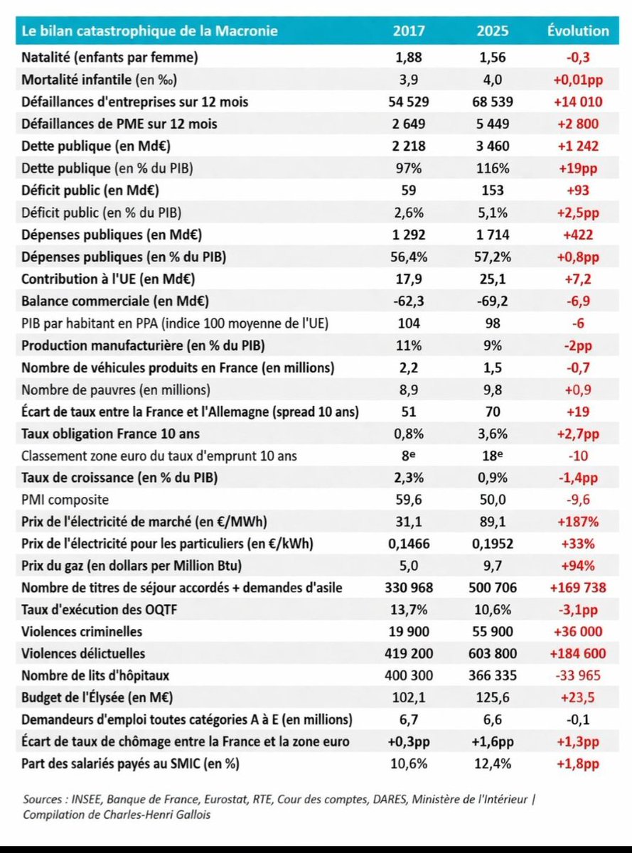 domdim tweet media