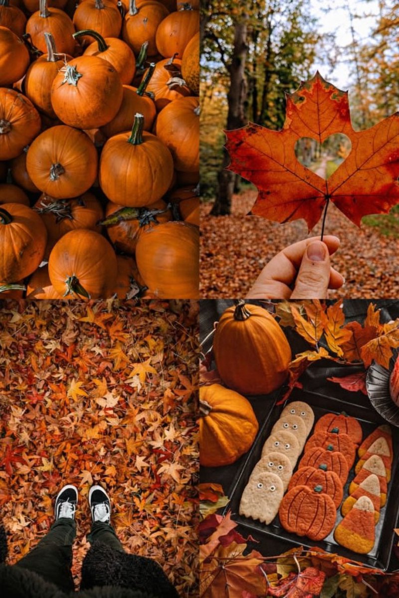 Halloween Queen 🎃 tweet media