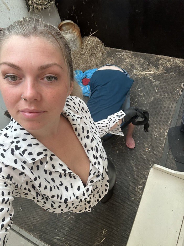 𝑅𝐸𝐼𝒩𝐸 𝒮𝒪𝐿𝐸𝒩𝒜 ✨🖤 tweet media