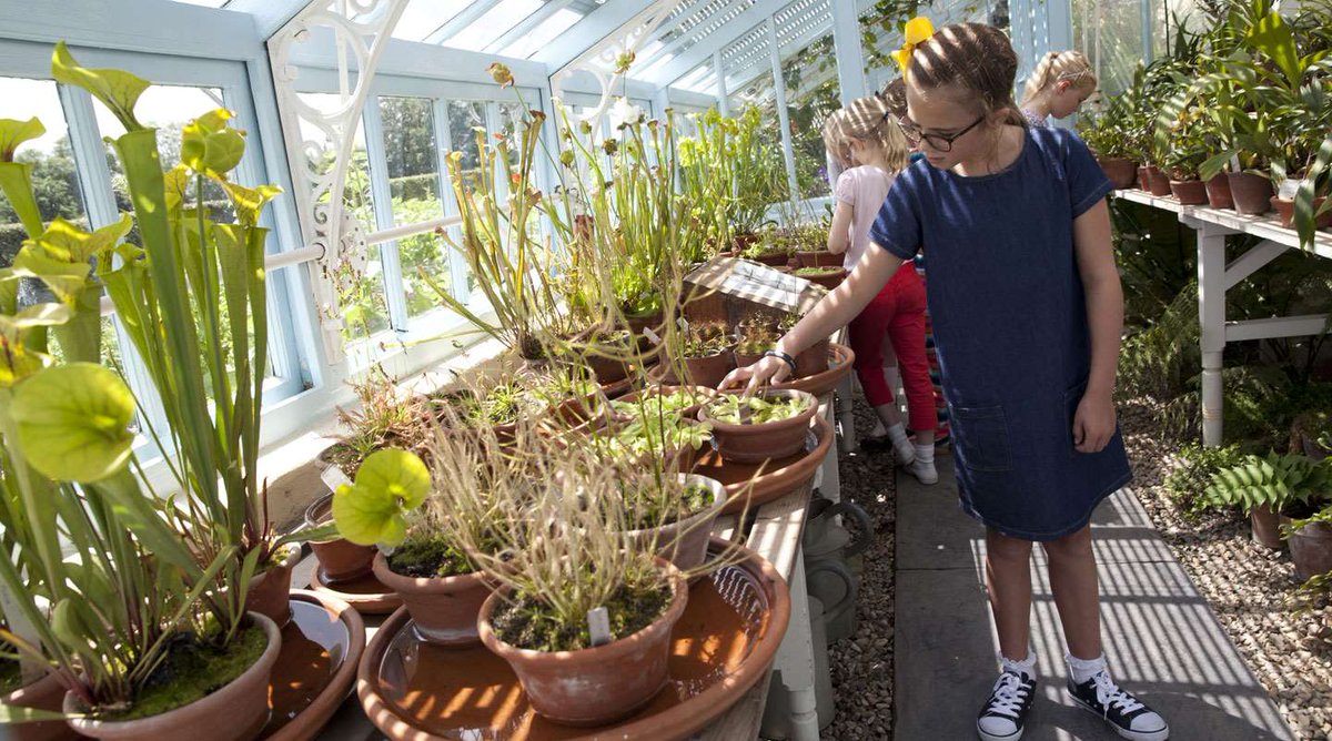 BromleyBuzz's tweet image. This was, Charles Darwin's greenhouse. His former home is the location for the next Bromley BuzzUp free, all-sector networking event on 21st April, with the @MayorofBromley0, Cllr Jonathan Andrews. Tickets here: tickettailor.com/events/bromley…
#bromleybuzz #bromleybuzzup #networking