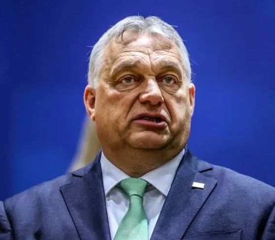 No Lie with Brian Tyler Cohen tweet media