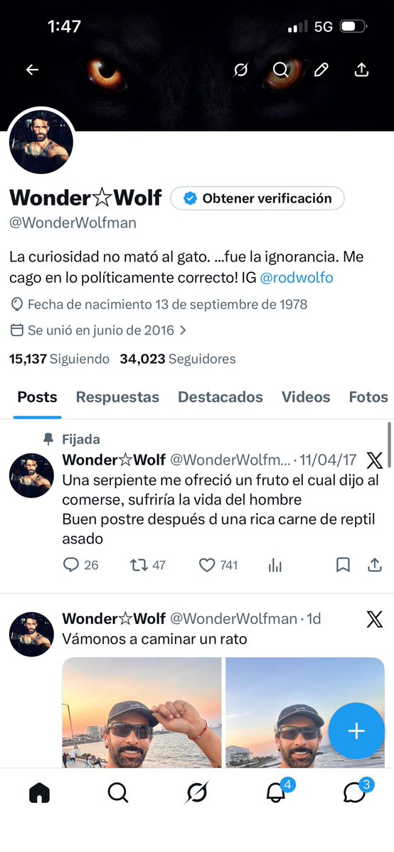 Wonder☆Wolf tweet media