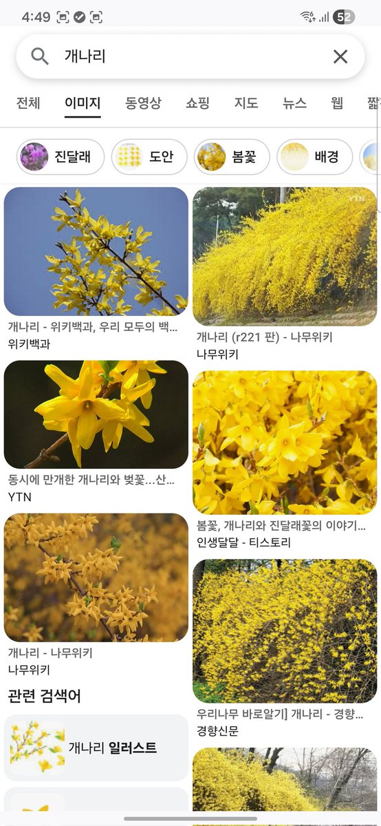 LeeHJ156's tweet photo. @ai_saboru_tech 한국엔 '개나리'라는 꽃이 있습니다 https://t.co/fZycPqaylI