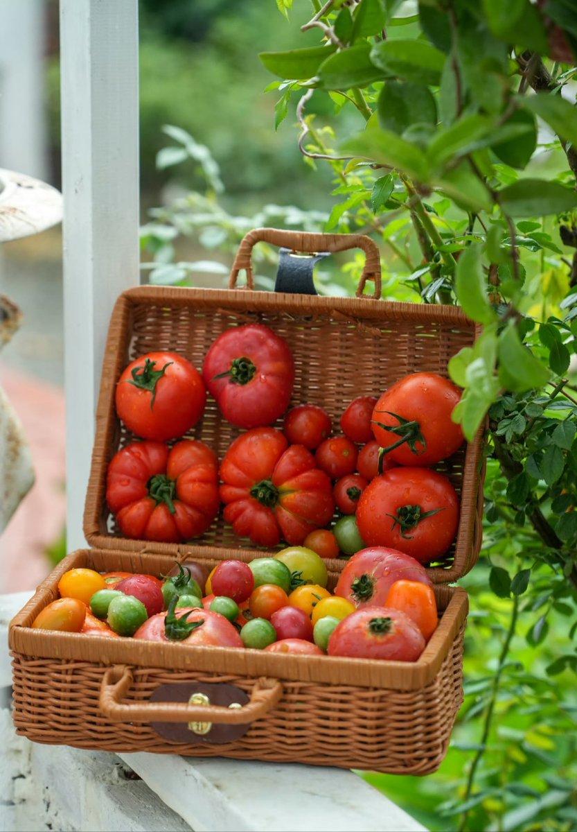 Alex Majors tweet media