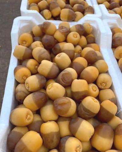 سااااير tweet media