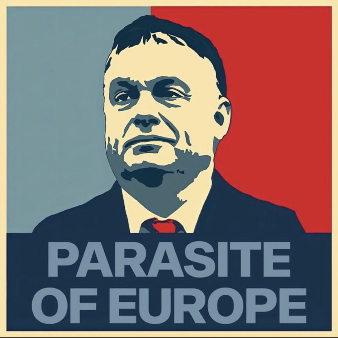 Volsungar #Fella🇩🇪🇳🇴🇺🇦 🦩 tweet media