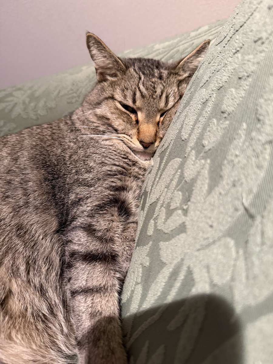 木村結香🍙47都道府県OMUSUBIツアー！ tweet media