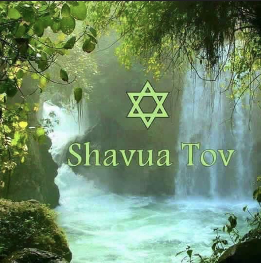 Melissa ✡︎🇺🇸🇮🇱🎗️#OurPeopleAreHome tweet media