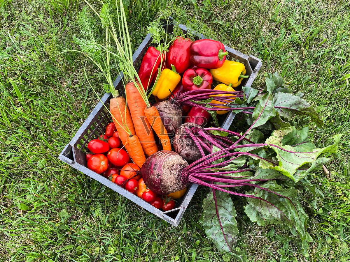 Ismaïla Fall tweet media